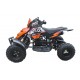 MINIQUAD 50cc 2 TIEMPOS