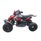 MINIQUAD 50cc 2 TIEMPOS