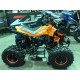 MINIQUAD PANTERA 125 CC 4T